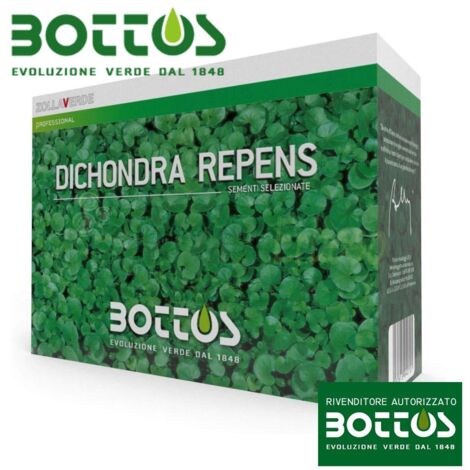 Dichondra Repens - Sementi per prato da 1 kg