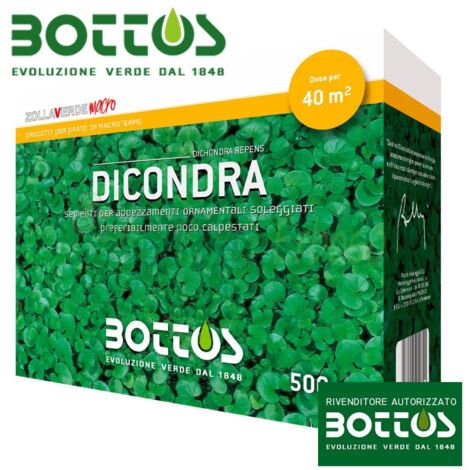 Dichondra Repens - Sementi per prato da 500 Gg