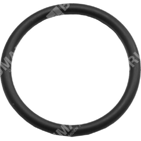 Dichtungsring für Freischneider auf Rädern BLUE BIRD N23003 - 022747