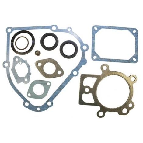 Dichtungssatz für BRIGGS&STRATTON-Motor Serie 19L132-0320-F1