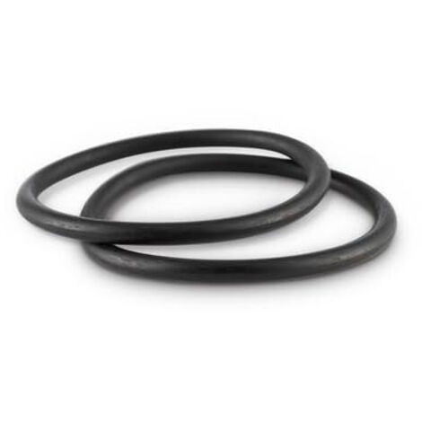 Didiesse Guarnizione O-ring per Macchine Caffè ESE e Frog Resistente Alte Temperature
