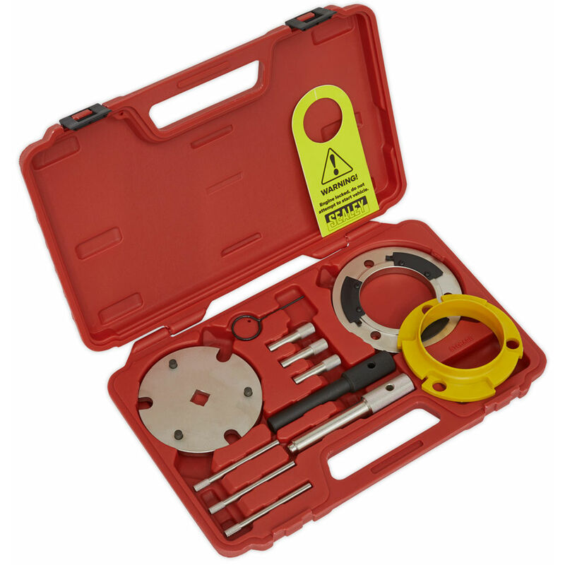 VSE5841A Diesel Engine Setting/Locking & Injection Pump Tool Kit - Sealey