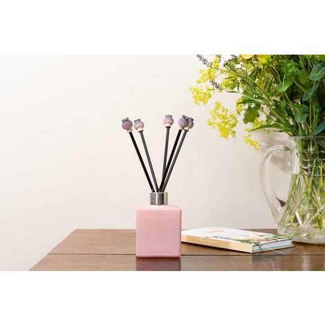 Diffuser Decor - Poppy Seed Heads Range - L10 x W10 x H2 cm