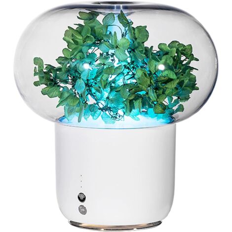 Diffuseur huiles essentielles 200 ml fleur éternelle, humidificateur LED veilleuse