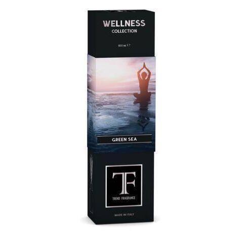 DIFFUSORE CON MIDOLLINI 100ML GREEN SEA