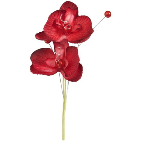 DIGE n27jjh36/91 - Un sachet de 6 double orchidées royales, Bordeaux