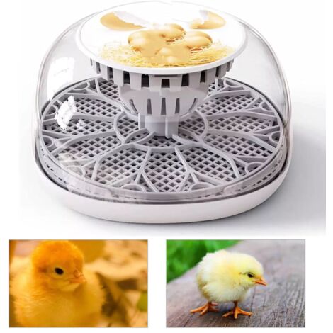 Digital 12-Egg Incubator Temperature Control Automatic Turning Chicken Hatcher