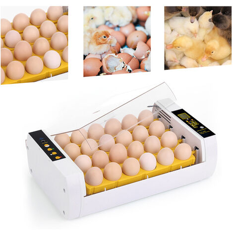Inkubator Brutmaschine Vollautomatisch 24 Eier Brutautomat LED Temperaturanzeige und Feuchtigkeitsregulierung für Hühnergeflügel Wachtel Truthahn Eier Heimgebrauch Automatisches Eierdrehen 