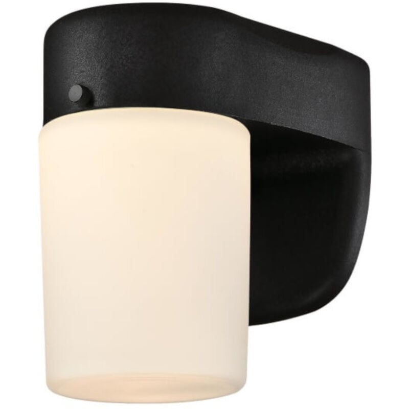 Dimmable led Outdoor Wall Light Black / Frosted Glass