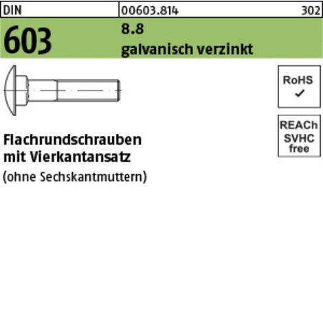 DIN 603 Flachrundschraube M8x30 Stahl 8.8 galvanisch verzinkt m. Vierkantansatz 100 Stk