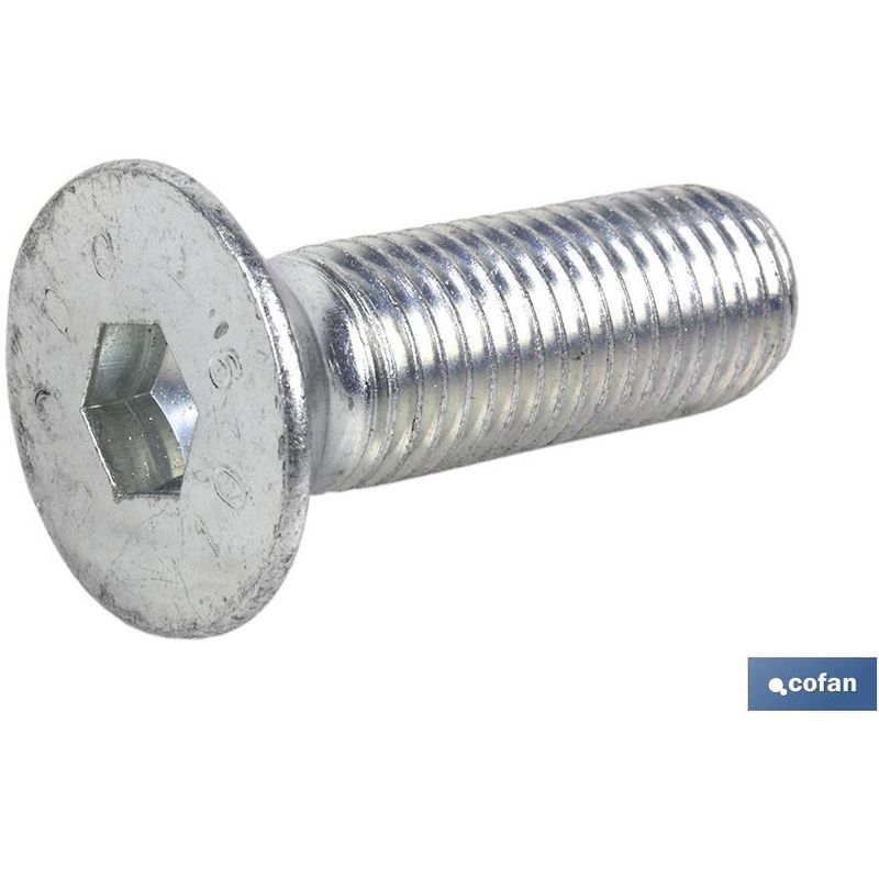 

Din-7991 Inox A-2 M-6X20