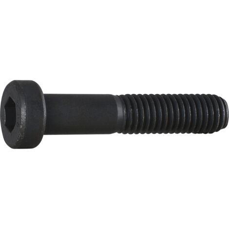 DIN 6912 Zylinderkopf-Schaftschraube niedrige Form M8x30 Stahl 8.8 blank Innensechskant 200 Stk