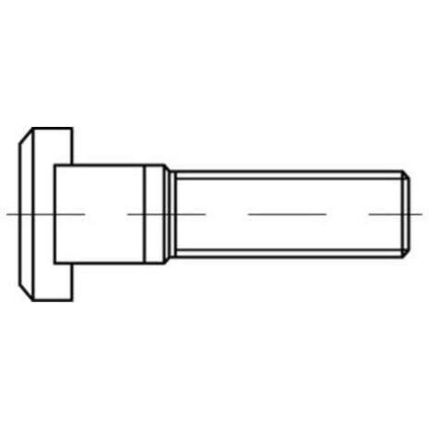 DIN 787 T-Nutenschraube M24x160 Stahl 8.8 blank 5 Stk