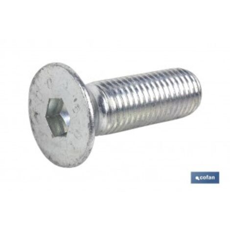 Din-7991 c-10.9 m-8 x 100 z