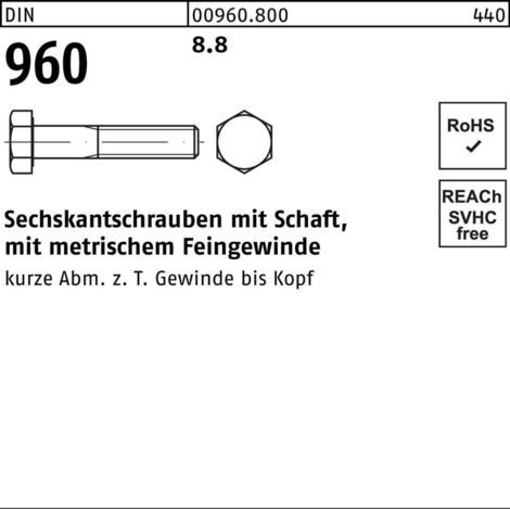 DIN 960 /ISO 8765 8.8 M 36 x 3 x 80 S