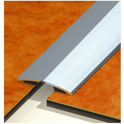 Dinac – Seuil de porte adhésif inoxbrosse 30 x 830 mm – Finition esthétique – Pour environnement de trafic intérieur – Fixation rapide