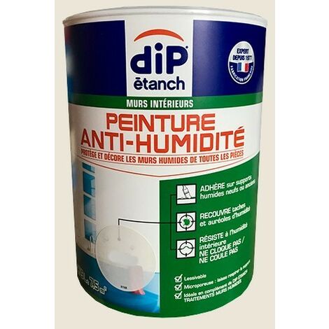 Peinture salle de bain anti moisissure, anti humidité - Painttrade