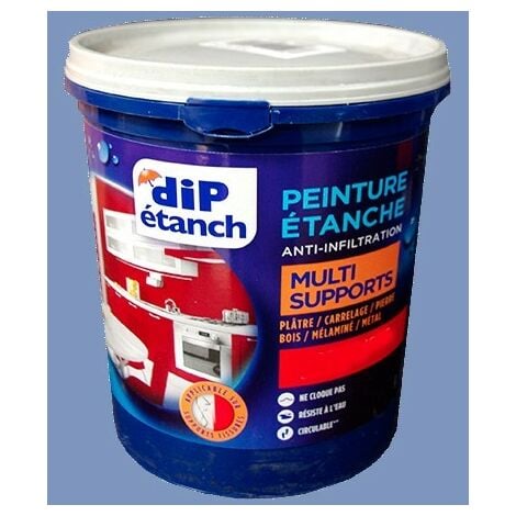 DIP Anti-infiltration gris ciment 4 L