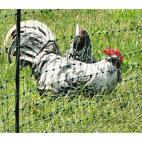 Direct Filet – Poulailler amovible 25m avec filet robuste et 8 piquets en PVC – Hauteur 1,06m – Mailles serrées pour sécurité des volailles