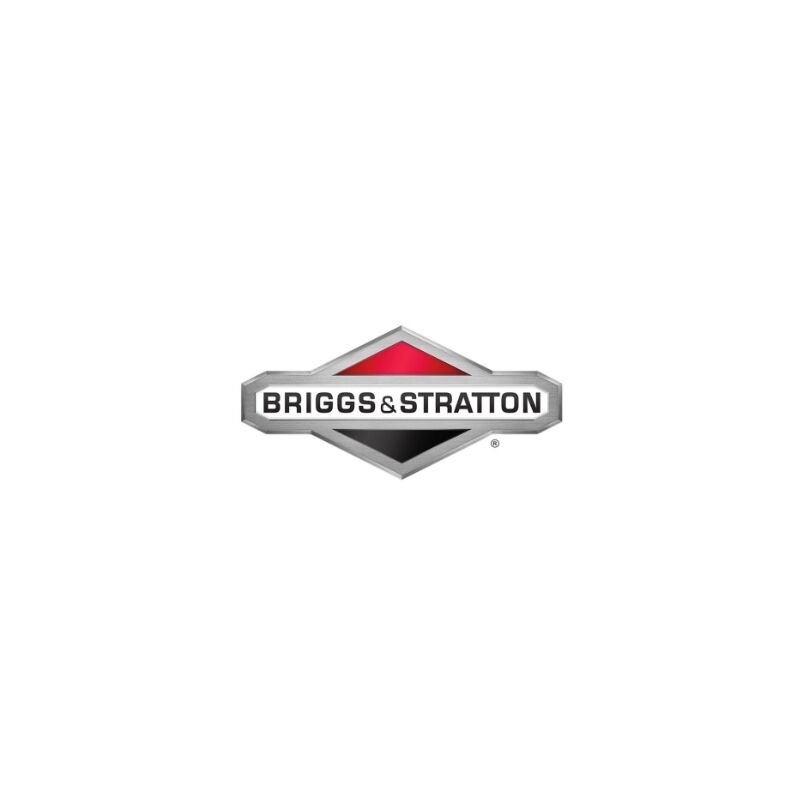 Briggs&stratton - Dischetto originale 690766