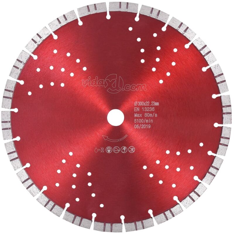 

Disco de Corte de Diamante con Turbo y Agujeros Acero 300 mm 22,23 mm - Vidaxl