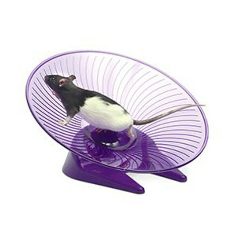 

Disco de ejercicio ø 30,5 cm para roedores