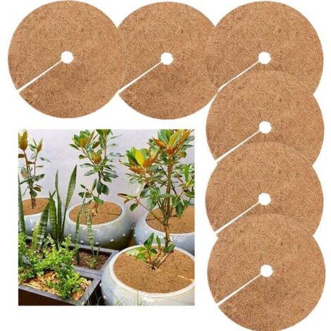 Disco de mantillo de 6 piezas, protección invernal para plantas en maceta, esterilla protectora de plantas, esterilla de coco biodegradable para jardinería, 20 cm