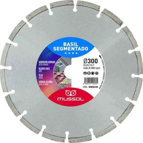Disco diamante basil segmentado 300mm eje 25,4mm MUSSOL