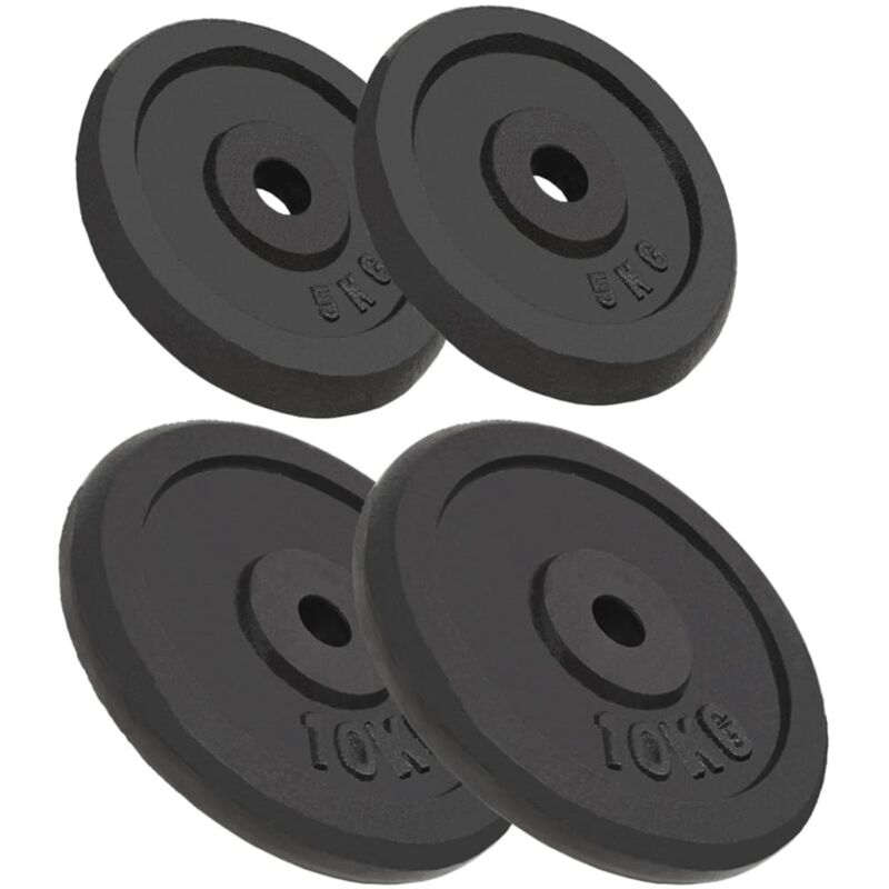 

Discos de Pesas de Hierro Fundido 4 Unidades 2x10 kg+2x5 kg - Vidaxl