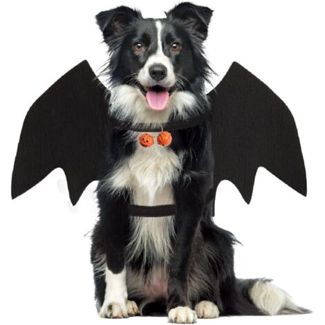 Disfraz de murciélago para perro, alas de murciélago para Halloween, bonito disfraz de murciélago para perro, alas de murciélago para mascota para decoración de fiesta de Halloween.