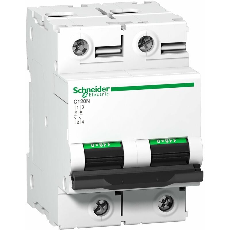 Schneider Electric - Disjoncteur C120N 2P 100 a, courbe c, 10 kA - A9N18362