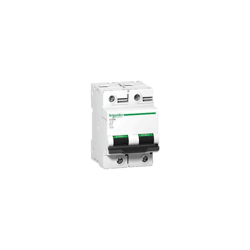 Disjoncteur C120N 2P 100 a, courbe d, 10 kA - A9N18384