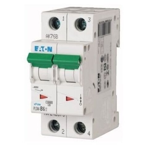 Disjoncteur 2P C 6A 10kA AC plsm-C6/2-MW 242399