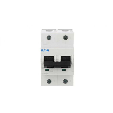 Disjoncteur 2P D 100A 15kA AC AZ-2-D100 211827