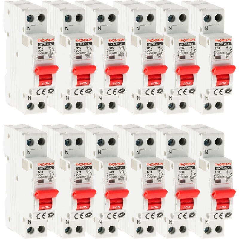 Lot de 12 Disjoncteurs à vis ph+n - 16A nf - Pouvoir de coupure 4,5KA Thomson