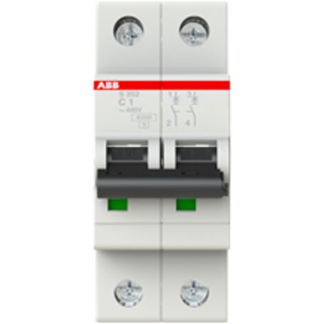 disjoncteur - abb s202 - 2 poles - 1a - courbe c - bornes à vis - 10ka - abb 2cds252001r0014