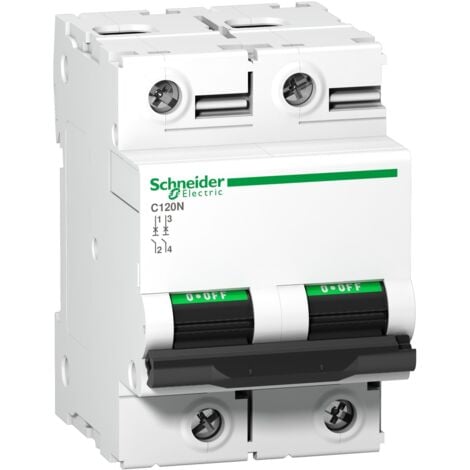 Disjoncteur C120N 2P 125 A, courbe C, 10 kA - A9N18363