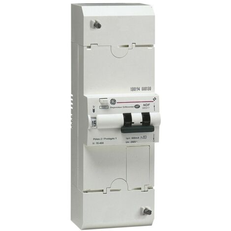 Disjoncteur de branchement BIPO 45A sélectif MICHAUD N463