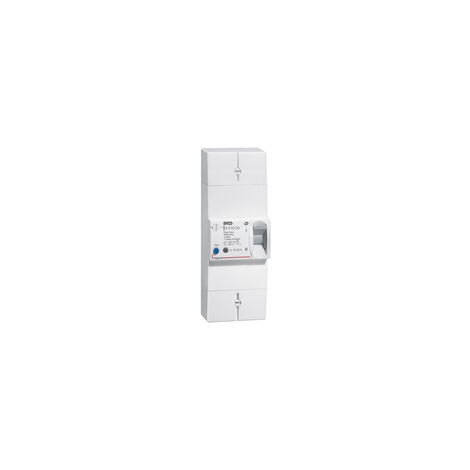 Disjoncteur de branchement bipolaire Legrand