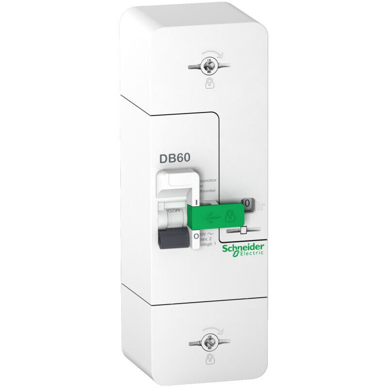 Disjoncteur De Branchement 1 P+n 60 A Fixe Resi9 Db60 Non Différentiel Schneider Electric Schr9fn660