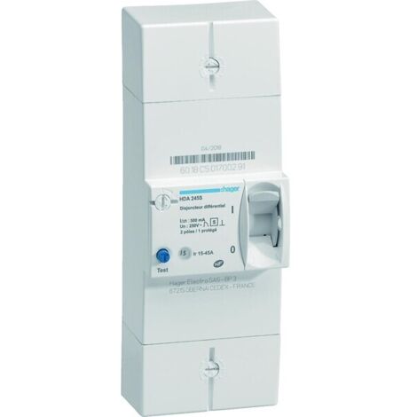 Disjoncteur de branchement différentiel 2P 60A 500mA selectif