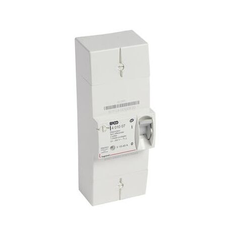 Disjoncteur de branchement Enedis bipolaire non différentiel - 45A - LEGRAND