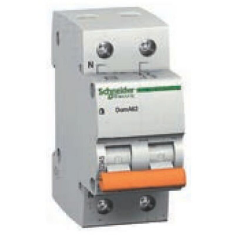 Schneider Electric - Disjoncteur 2P 40A boitier Schneider 12520