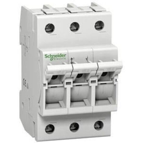 Disjoncteur fusible Schneider Electric d01-16-3 16A 3 pôles