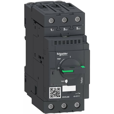 DISJONCTEUR MAGNETIQUE 65 - GV3L65