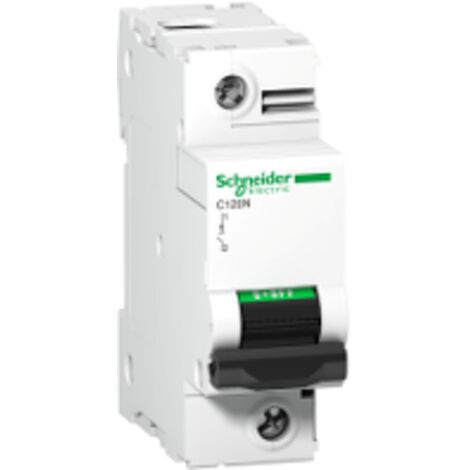 Disjoncteur miniature SCHNEIDER 125A 1P 380-415V avec technologie thermomagnétique