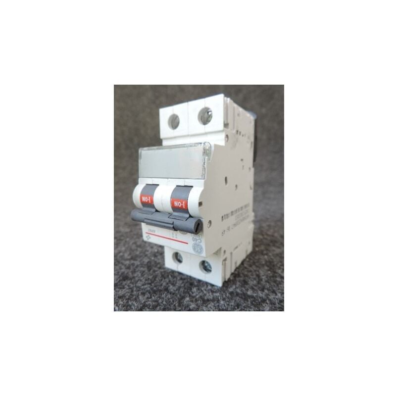Disjoncteur 40A 2P Courbe c 6kA bornes vis EP62 ge power 676094