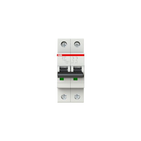 Disjoncteur S200 2P C 1 6kA - ABB2CDS252001R0014