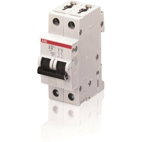 Disjoncteur S202L 2P 10A Courbe C Raccordement à vis - 6KA (2Modules) 2CDS242701R0104 ABB 350236