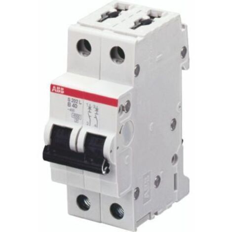 Disjoncteur S202L 2P 6A Courbe C Raccordement à vis - 6KA (2Modules) 2CDS242701R0064 ABB 350233